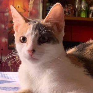 Meet your Posher, boo